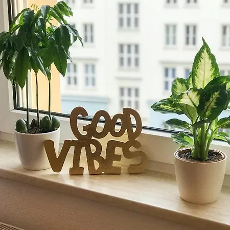 Blue Chili 01 - Lage Am Hbhf Boxspringbett Bis 4 Pers Daire